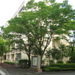 全景